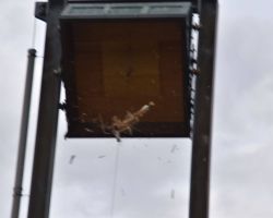 image094